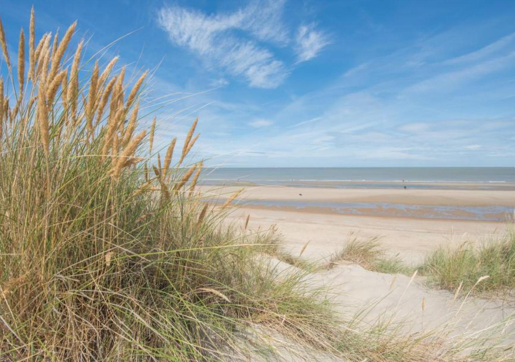Salty - Vakantiehuisje Op De Grens Van Bredene-De Haan ภายนอก รูปภาพ